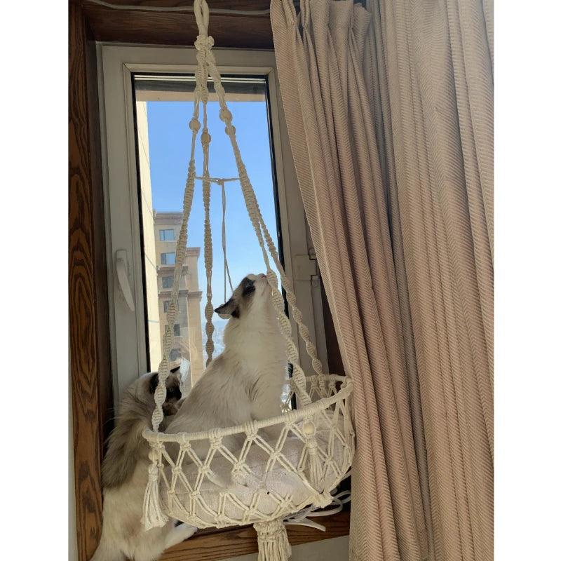 White cat sitting in a macrame hanging cat bed near a window, enjoying a cozy and elevated resting spot.
