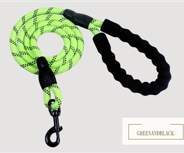 Dog Leash