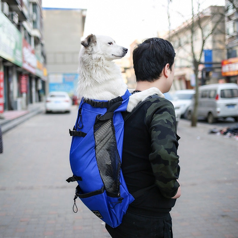 Sac à dos de transport pour chien