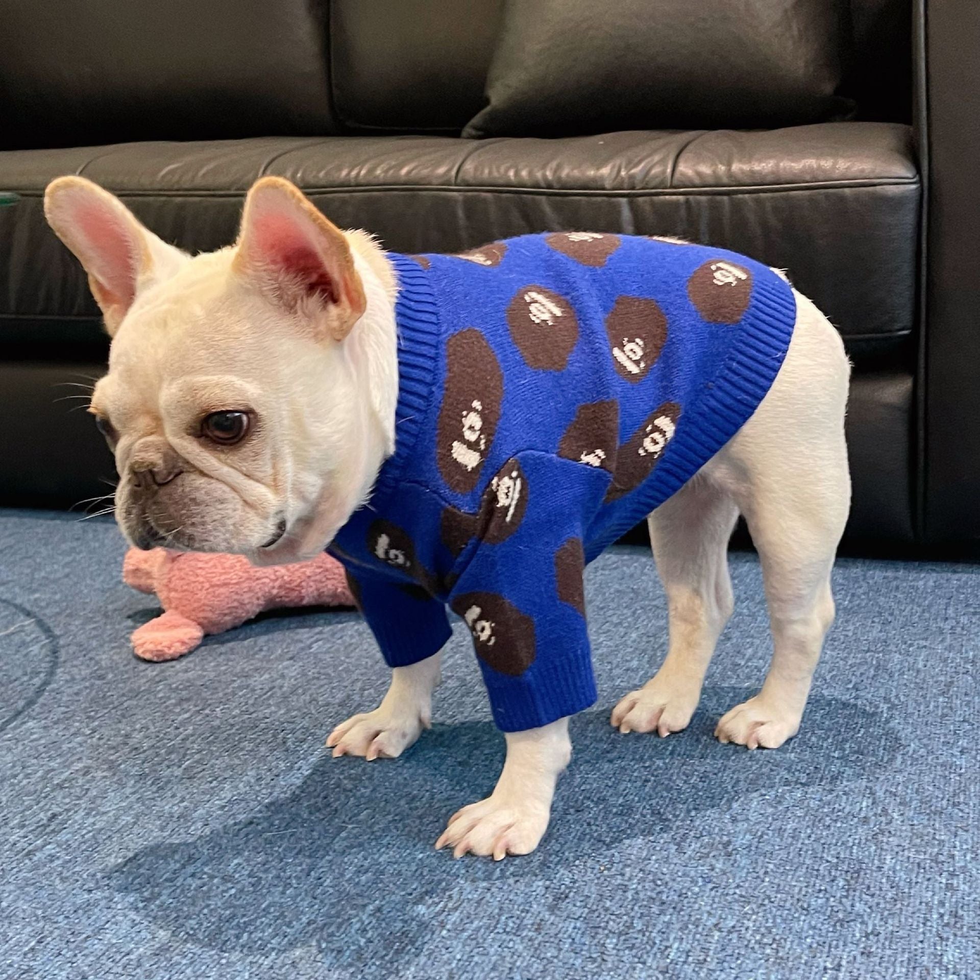 Suéter de invierno para mascotas