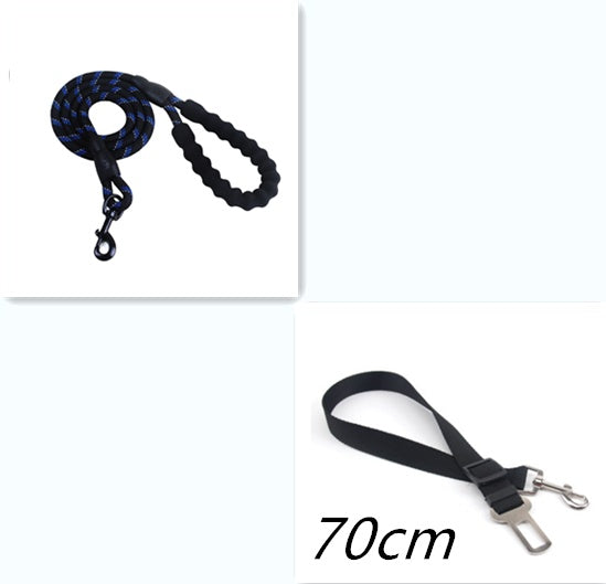 Dog Leash